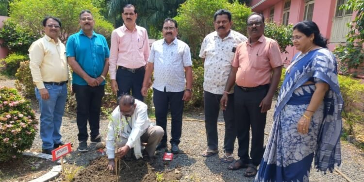 भारत विद्यालय हिंगणघाट येथे जागतिक पर्यावरण दिना निमित्य वृक्षारोपण व छत्रपती शिवाजी महाराज शिवराज्याभिषेक सोहळा साजरा.