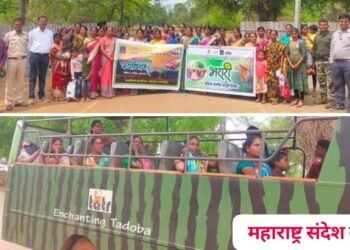 ताडोबा-अंधारी व्याघ्र प्रकल्पामार्फत जागतिक पर्यावरण दिन मोठ्या उत्साहात साजरा.