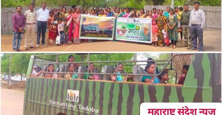 ताडोबा-अंधारी व्याघ्र प्रकल्पामार्फत जागतिक पर्यावरण दिन मोठ्या उत्साहात साजरा.