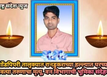 गोंडपिपरी तालुक्यात रानडुकराच्या हल्ल्यात घरच्या कमावत्या तरुणाचा मृत्यू, वन विभागाची भूमिका संदेहस्पद.