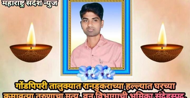 गोंडपिपरी तालुक्यात रानडुकराच्या हल्ल्यात घरच्या कमावत्या तरुणाचा मृत्यू, वन विभागाची भूमिका संदेहस्पद.