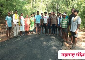 आरेंदा ते ताडगुडा गावाला जोडणारा डांबरीकरण रस्ता निकृष्ट दर्जाचा: चौकशी करून कारवाई करण्याचे मागणी.