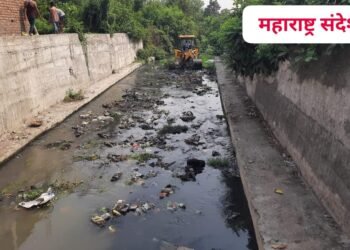 हिंगणघाट शहरात नगर परिषदच्या वतीने मान्सून पूर्व नाले सफाई व स्वच्छता मोहीम.