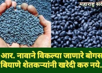 शेतकऱ्यांनी आर. आर. नावाने विकल्या जाणारे बोगस बिटी बियाणे खरेदी करु नये.