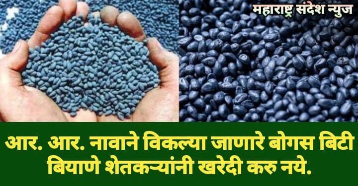 शेतकऱ्यांनी आर. आर. नावाने विकल्या जाणारे बोगस बिटी बियाणे खरेदी करु नये.