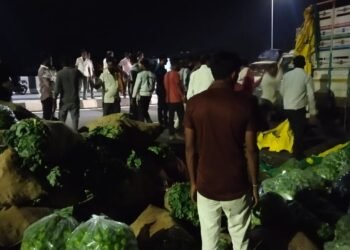 अकोल्यातील रिधोरा पुलाजवळ भाज्यांनी भरलेली महिंद्रा पिकअप उलटली.