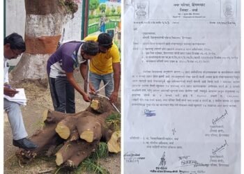 अवैध वृक्षतोड करणे पडले लाखोच्या घरात, हिंगणघाट येथील विद्यालयाच्या मुख्याध्यापका कडून नगर पालिकेने केला 2 लाख रुपये दंड वसूल.