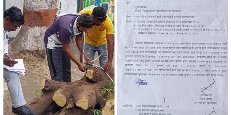 अवैध वृक्षतोड करणे पडले लाखोच्या घरात, हिंगणघाट येथील विद्यालयाच्या मुख्याध्यापका कडून नगर पालिकेने केला 2 लाख रुपये दंड वसूल.