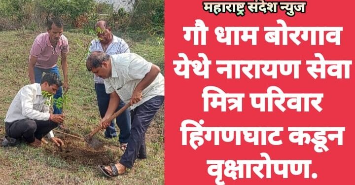 गौ धाम बोरगाव येथे नारायण सेवा मित्र परिवार हिंगणघाट कडून वृक्षारोपण.