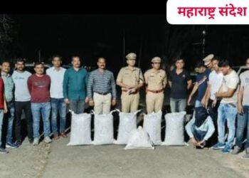 वर्धा जिल्हात उडीसातून मोठ्या प्रमाणात गांज्याची तस्करी, 102 किलो गांजा जप्त.