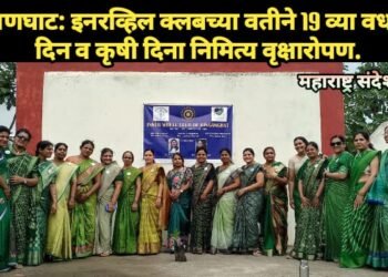 हिंगणघाट: इनरव्हिल क्लबच्या वतीने 19 व्या वर्धापन दिन व कृषी दिना निमित्य वृक्षारोपण.