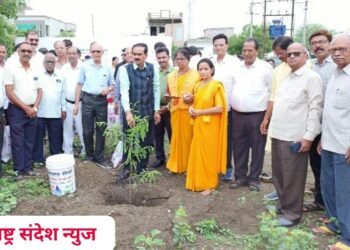 हिंगणघाट: डॉक्टर दिवस, सी.ए. दिवस व कृषी दिना निमित्त ‘सेवे चा सत्कार’ व वृक्षारोपण.