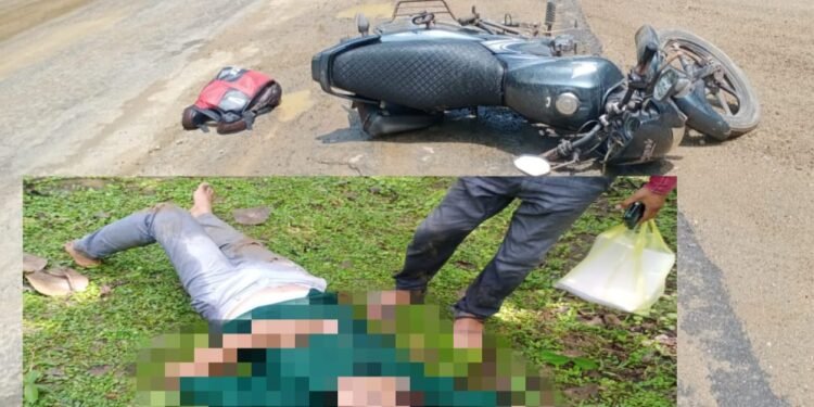 अहेरी – सिरोंचा महामार्गावरील गोलाकर्जी गावाजवळ दुचाकीच्या अपघातात शिक्षक गंभीर जखमी.