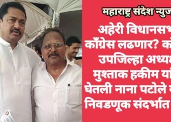 अहेरी विधानसभा काँग्रेस लढणार? काँग्रेस उपजिल्हा अध्यक्ष मुश्ताक हकीम यांनी घेतली नाना पटोले यांची निवडणूक संदर्भात भेट.