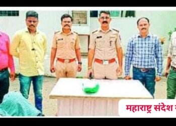 हिंगणघाट पोलिसांची धडक कारवाई, गांजा विक्रीचा भांडाफोड करत एका आरोपीला ठोकल्या बेड्या.