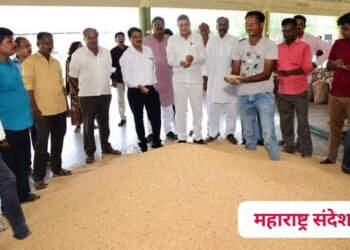 नवीन तंत्रज्ञानाचा वापर करुन पिक उत्पादनात वाढकरण्यासाठी बाजार समितीने शेतकऱ्याना सहकार्य कराव: ॲङ निलेश हेलोंडे पाटील