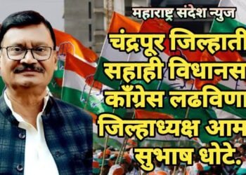 चंद्रपूर जिल्हातील सहाही विधानसभा काँग्रेस लढविणार : जिल्हाध्यक्ष आमदार सुभाष धोटे.