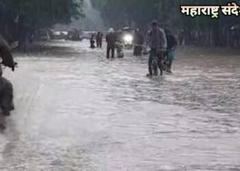 बीड तालुक्यातील पिंपळनेर परिसरात मुसळधार पाऊस पुलावरून पाणी गेल्याने अनेक गावांचा संपर्क तुटला.