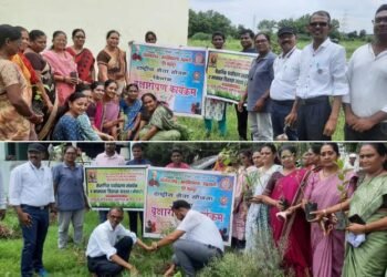 विवेकानंद महाविद्यालय, भद्रावती येथील राष्ट्रीय सेवा योजना विभागाच्या वतीने विवेकानंद नगर येथे वृक्षारोपण.