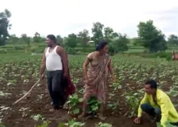 शेतीच्या जुन्या वादातून शेतकऱ्यास काठीने बेदम मारहाण, माळेगाव येथील घटना मंठा पोलीस स्टेशन येथे फिर्यादी दाखल.