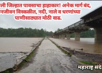 गडचिरोली जिल्हात  पावसाचा हाहाकार!  अनेक मार्ग बंद, जनजीवन विस्कळीत, नदी, नाले व धरणांच्या पाणीसाठ्यात मोठी वाढ.