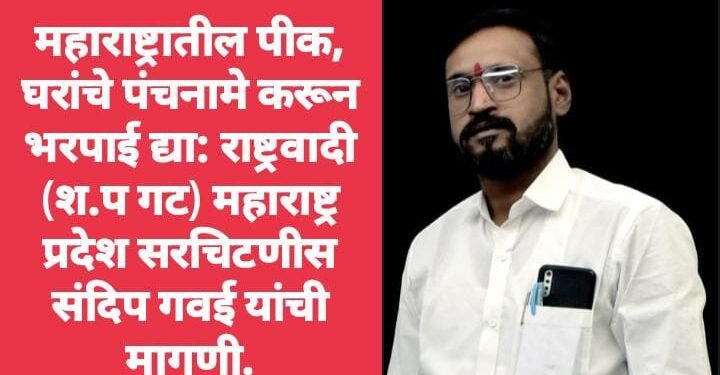 महाराष्ट्रातील पीक, घरांचे पंचनामे करून भरपाई द्या: राष्ट्रवादी (श.प गट) महाराष्ट्र प्रदेश सरचिटणीस संदिप गवई यांची मागणी.