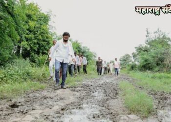 नरसाळा गावात स्मशानभूमी कडे जाणाऱ्या रस्त्याची झाली दुर्दशा, राष्ट्रवादीचे नेते अतुल वांदिले यांनी गावात प्रत्यक्ष जाऊन केली पाहणी.