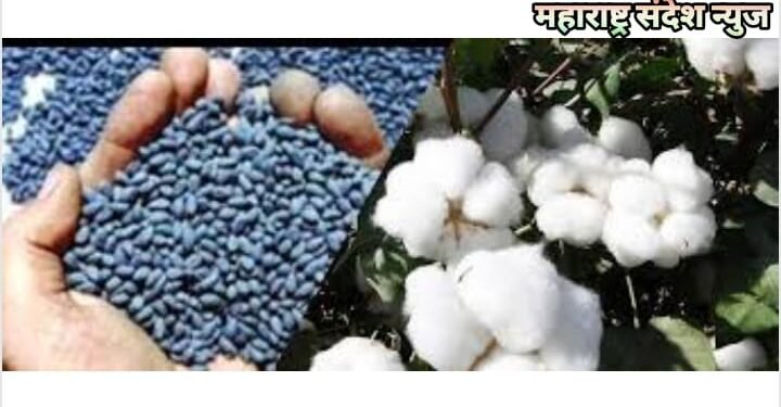 आर. आर. नावाने विकल्या जाणाऱ्या बोगस बि.टी बियाण्या पासुन शेतकऱ्यांनी सावधान राहावे.