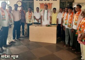 हिंगणघाट विधानसभा क्षेत्रातील सेलू तालुका पहेलानपूर गावातील असंख्य पुरुषांनी केला भारतीय जनता पार्टीत प्रवेश.