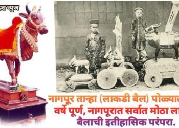 नागपूर तान्हा (लाकडी बैल) पोळ्याला 235 वर्षे पूर्ण, नागपूरात सर्वात मोठा लाकडी बैलाची इतीहासिक परंपरा.