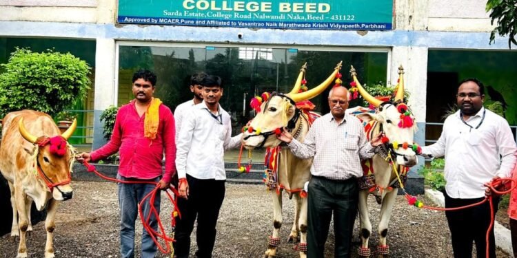 आदित्य कृषि महाविद्यालय बीड येथे श्रावण बैल पोळा सण मोठ्या उत्साहात साजरा.