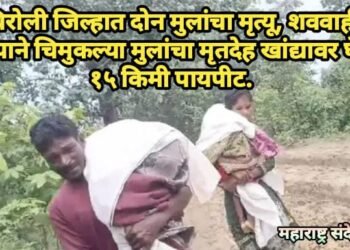 गडचिरोली जिल्हात दोन मुलांचा मृत्यू, शववाहीका नसल्याने चिमुकल्या मुलांचा मृतदेह खांद्यावर घेऊन १५ किमी पायपीट.