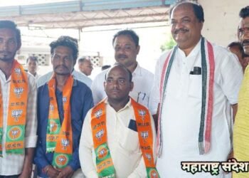 हिंगणघाट विधानसभा क्षेत्रातील समुद्रपूर तालुक्यातील हिवरा येथील युवकांनी केला भारतीय जनता पार्टीत प्रवेश.