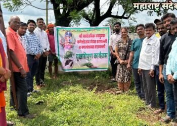 नगरपंचायत एटापल्ली व श्री सार्वजनिक नवयुवक गणेशोत्सव मंडळ बस स्थानकच्या वतीने वृक्षारोपण कार्यक्रम संपन्न.