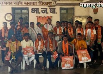 विशाल भट यांच्या नेतृत्वात हिंगणघाट तालुक्यातील जामनी येथील असंख्य युवकांनी केला भारतीय जनता पार्टीत प्रवेश.