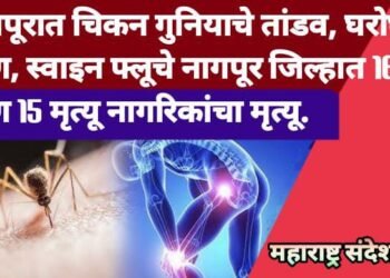 नागपूरात चिकन गुनियाचे तांडव घरोघरी रुग्ण, स्वाइन फ्लूचे नागपूर जिल्हात 161 रुग्ण 15 मृत्यू नागरिकांचा मृत्यू.