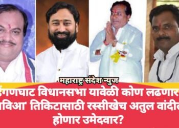 हिंगणघाट विधानसभा निवडणुकीत यावेळी कोण लढणार? ‘मविआ’ तिकिटासाठी रस्सीखेच अतुल वांदीले होणार उमेदवार?