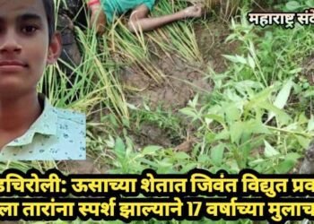 गडचिरोली: ऊसाच्या शेतात जिवंत विद्युत प्रवाह साेडलेला तारांना स्पर्श झाल्याने 17 वर्षाच्या मुलाचा मृत्यू.