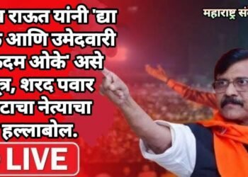 संजय राऊत यांनी ‘द्या खोके आणि उमेदवारी एकदम ओके’ असे सूत्र, शरद पवार गटाचा नेत्याचा हल्लाबोल.