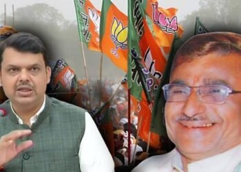 वर्धा जिल्हातील या मतदार संघात भाजपाच्या विद्यमान आमदारची बंडखोरी, भाजपा विरोधात फुंकले रणशिंग.