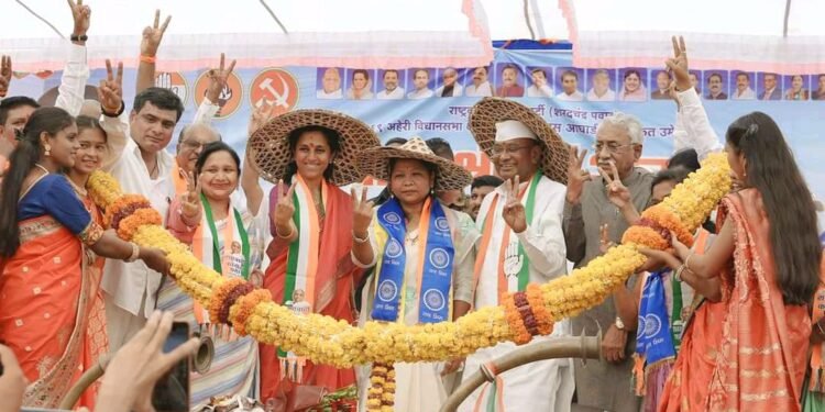 आलापल्ली जि.गडचीरोली येथे अहेरी विधानसभा क्षेत्रातील महाविकास आघाडीचे उमेदवार भाग्यश्रीताई आत्राम यांच्या प्रचारसभा कार्यक्रमात उपस्थित