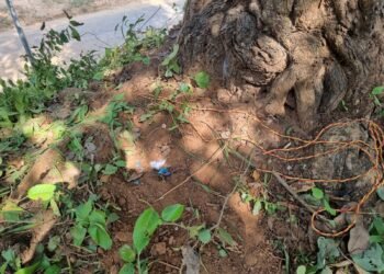 आगामी होणाऱ्या विधानसभा निवडणुकीच्या पाश्वभूमीवर माओवाद्यांनी भामरागड आणि ताडगावला जोडणाऱ्या पर्लकोटा नदीवरील पुलावर काही स्फोटके (I.E.D)पेरून ठेवल्याची विश्वसनीय गोपनिय माहिती मिळाली