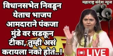 विधानसभेत निवडून येताच भाजप आमदाराने पंकजा मुंडे वर सडकून टीका, तुम्ही असं करायला नको होतं..!