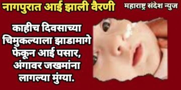 नागपुरात आई झाली वैरणी, काहीच दिवसाच्या चिमुकल्याला झाडामागे फेकून आई पसार, अंगावर जखमांना लागल्या मुंग्या.