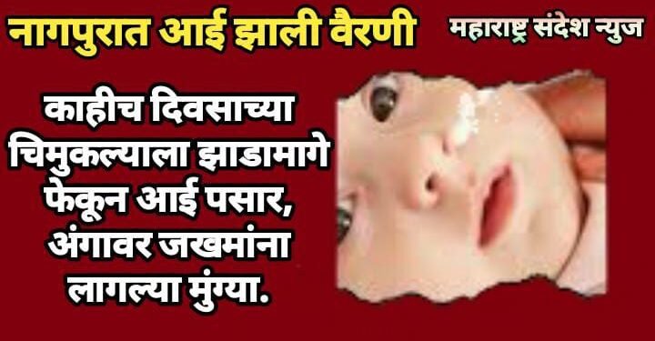 नागपुरात आई झाली वैरणी, काहीच दिवसाच्या चिमुकल्याला झाडामागे फेकून आई पसार, अंगावर जखमांना लागल्या मुंग्या.