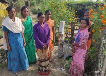 ग्रा.पं. आंबटपल्लीचा येरमेटोला गावाकडे जाणीवपूर्वक दुर्लक्ष.