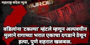 वडिलांना ‘टकल्या’ म्हंटले म्हणून अल्पवयीन मुलाने रागाच्या भरात एकाचा दगडाने ठेचून हत्या, पुणे शहरात खळबळ.
