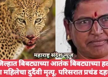 पुणे जिल्हात बिबट्याच्या आतंक बिबट्याच्या हल्ल्यात एका महिलेचा दुर्दैवी मृत्यू. परिसरात प्रचंड दहशत.