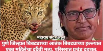 पुणे जिल्हात बिबट्याच्या आतंक बिबट्याच्या हल्ल्यात एका महिलेचा दुर्दैवी मृत्यू. परिसरात प्रचंड दहशत.