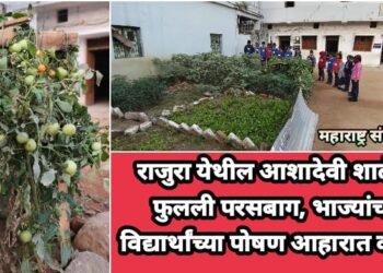 राजुरा येथील आशादेवी शाळेत फुलली परसबाग, भाज्यांचा विद्यार्थांच्या पोषण आहारात वापर.